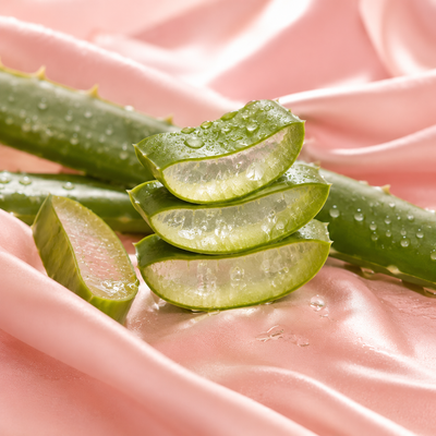 💧 Aloe Vera